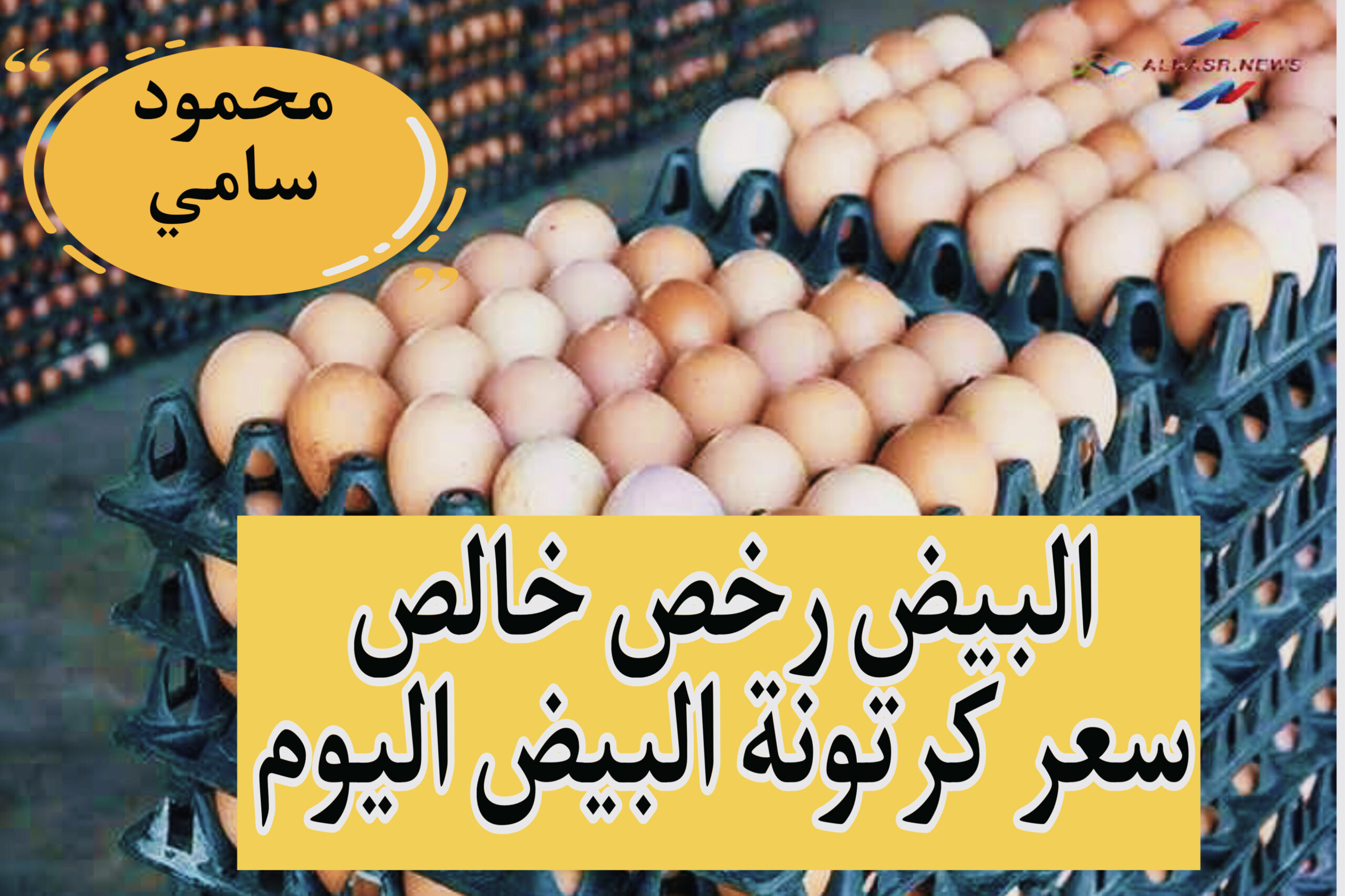 سعر كرتونة البيض اليوم