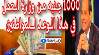 1000 جنيه من وزارة العمل