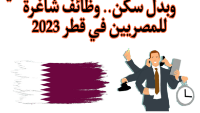 وظائف شاغرة للمصريين في قطر 2023