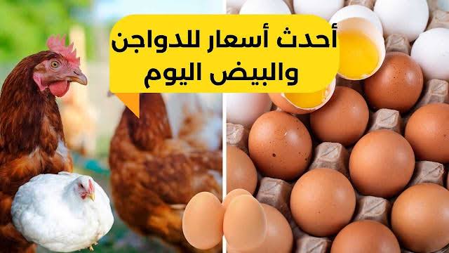 أسعار البيض والفراخ والبانيه اليوم