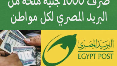 بالرقم القومي صرف 1000 جنيه منحة البريد المصري