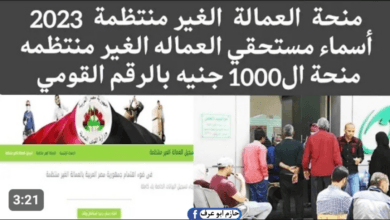 التسجيل في منحة العمالة الغير منتظمة