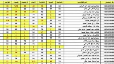 نتائج السادس الاعدادي الدور الثالث pdf لجميع المحافظات العراقية عبر موقع نتائجنا 2023 صدرت منذ قليل