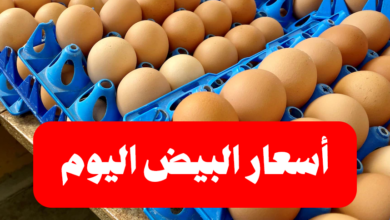 اسعار كرتونة البيض في الأسواق المصرية