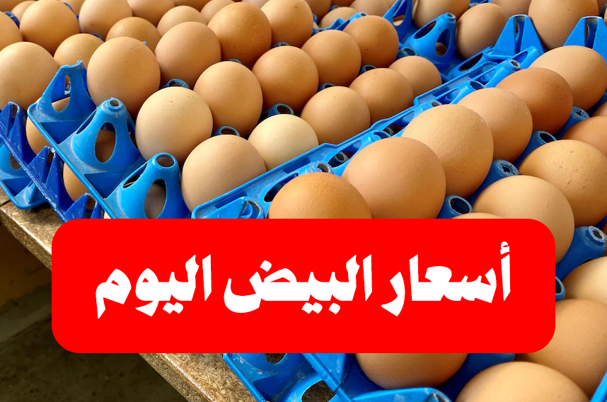 شركات انتاج البيض في الأسواق المحلية