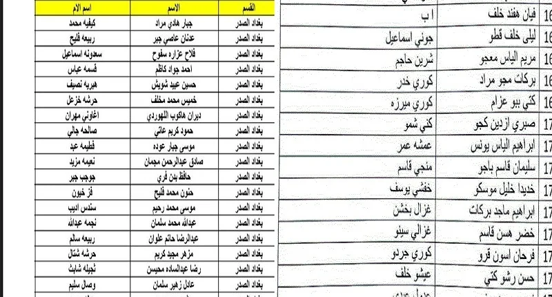 اسماء المشمولين في الرعاية الاجتماعية بالعراق