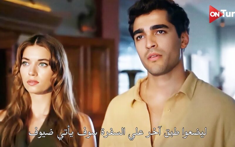 مشاهدة مسلسل طائر الرفراف الحلقة 45