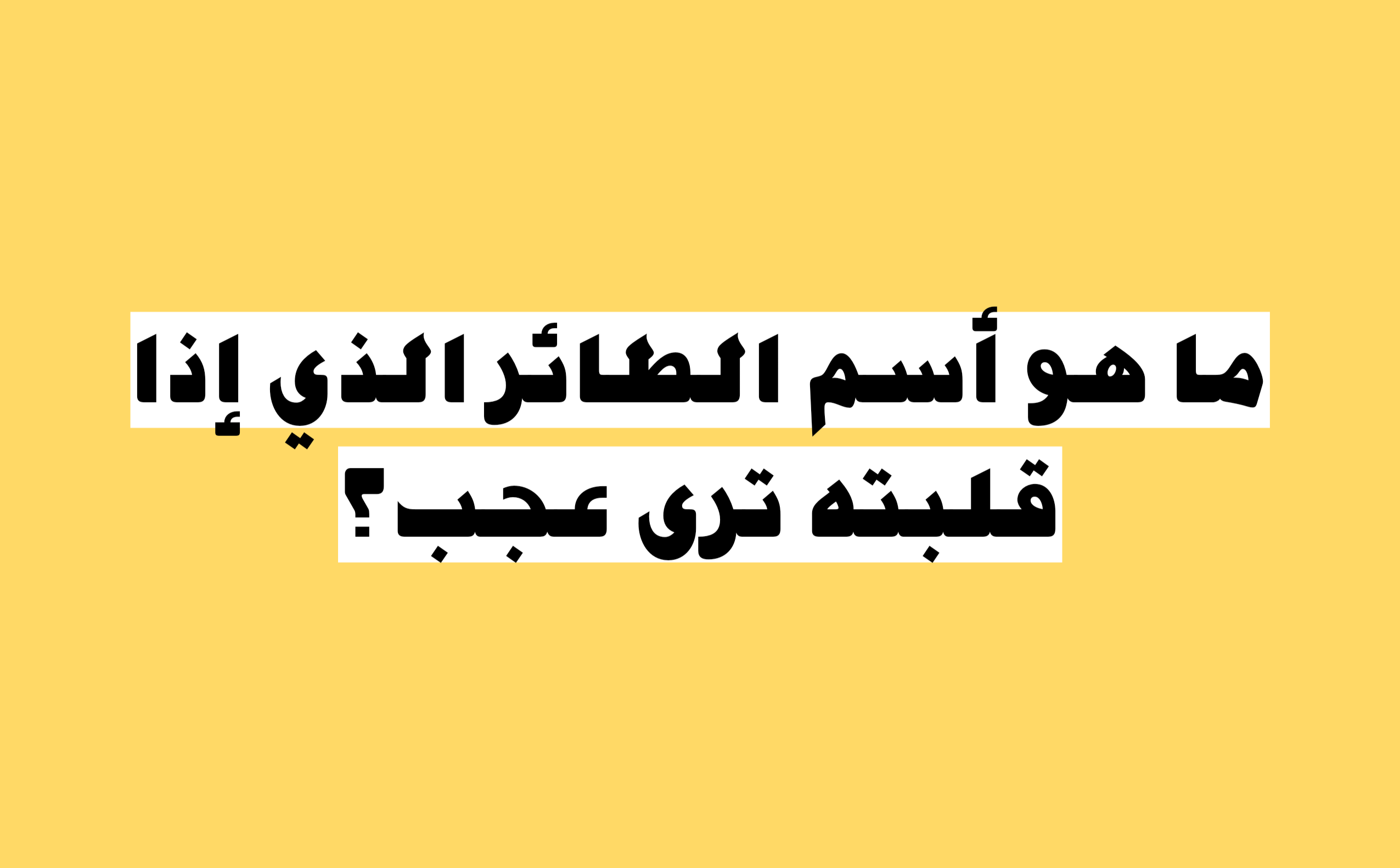 ما هو اسم الطائر الذي اذا قلبته ترى عجب ؟