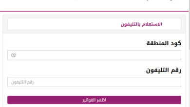 الاستعلام عن فاتورة التليفون الأرضي بالرقم