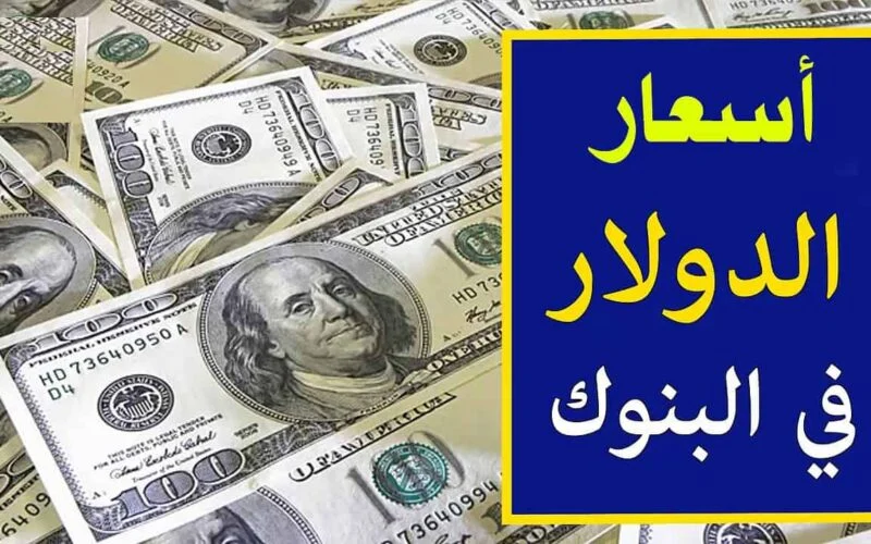 سعر الدولار سوق سوداء 