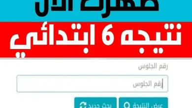 الاستعلام عن نتيجة الشهادة الابتدائية 2024