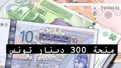 منحة 300 دينار تونسي 2024