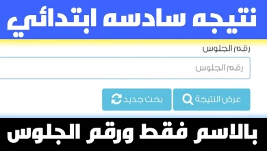 نتيجة الشهادة الابتدائية بالاسم 2024