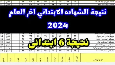 نتيجة الشهادة الابتدائية جميع المحافظات 2024 ترم ثاني