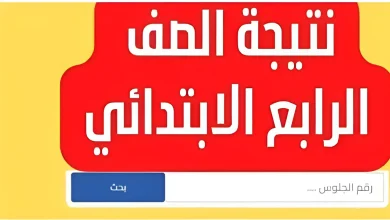 نتيجة الصف الرابع الابتدائي 2024 بالاسم